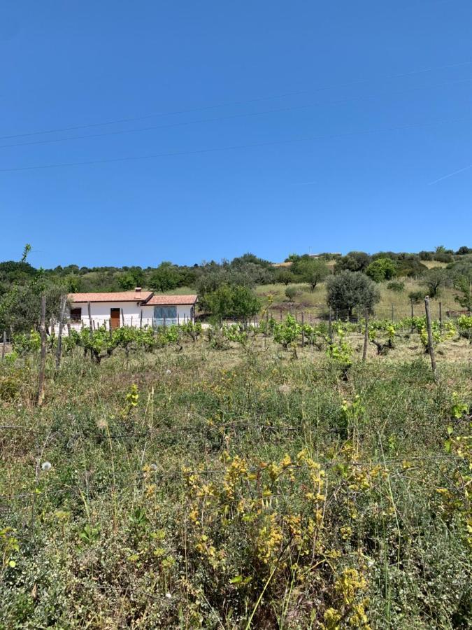 Villa Paradiso Montegiordano Dış mekan fotoğraf