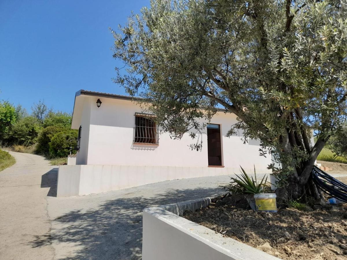 Villa Paradiso Montegiordano Dış mekan fotoğraf