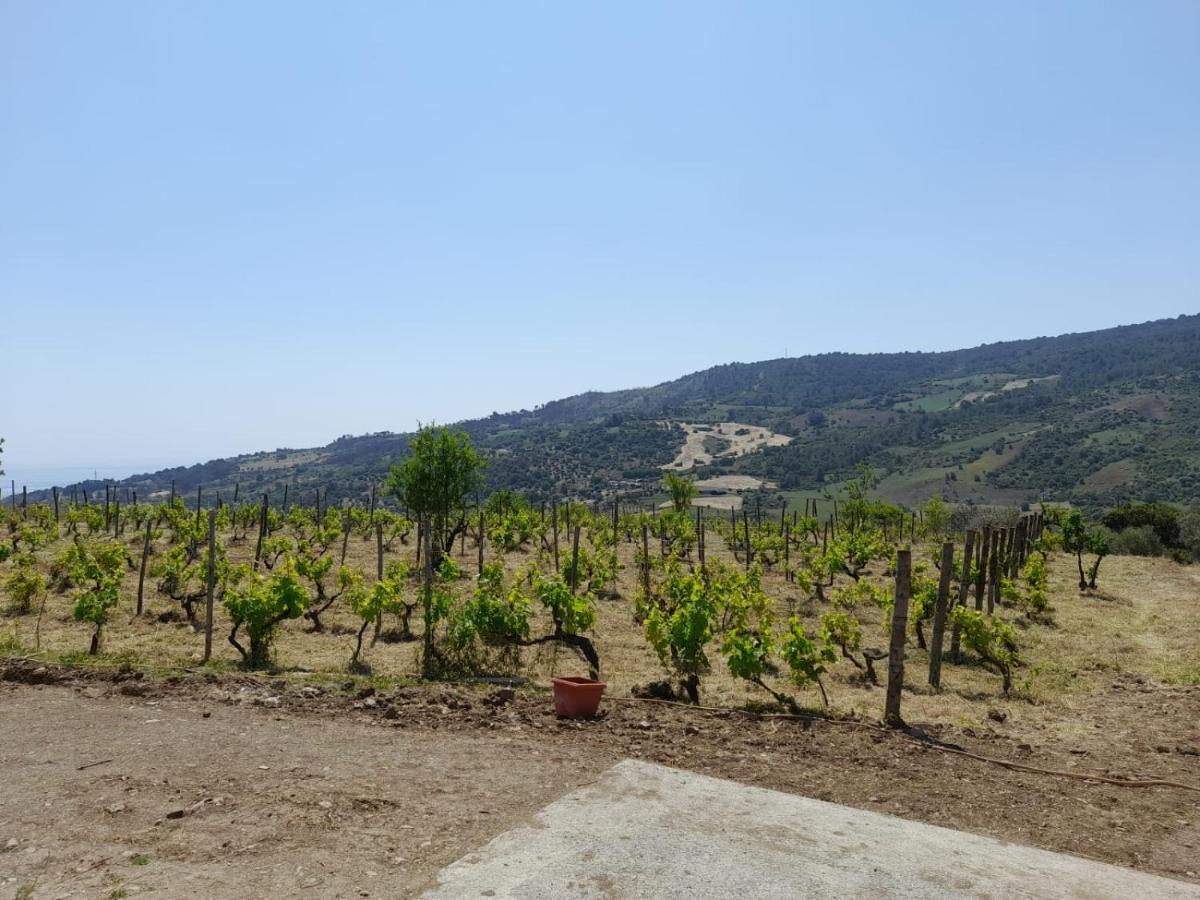 Villa Paradiso Montegiordano Dış mekan fotoğraf