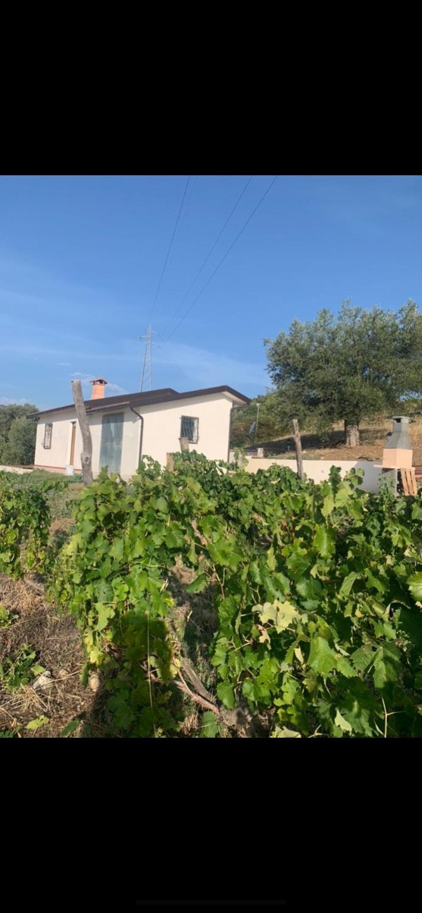 Villa Paradiso Montegiordano Dış mekan fotoğraf